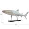 38.5" Distressed Polystone Coastal Whale Shark Décor
